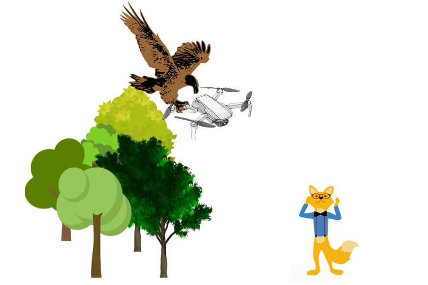 Der Smart Home Fox Experte steuert eine Drohne und das Modell wird von einem Vogel angegriffen